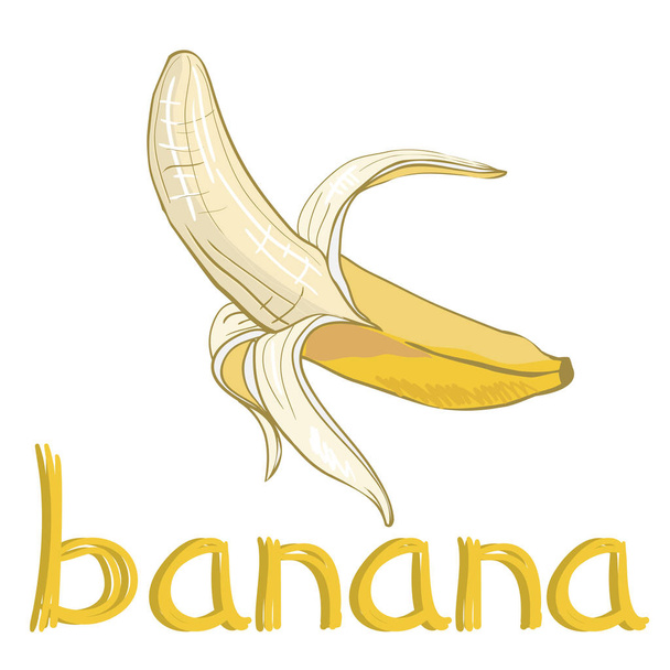 design of tropical banana  - Διάνυσμα, εικόνα
