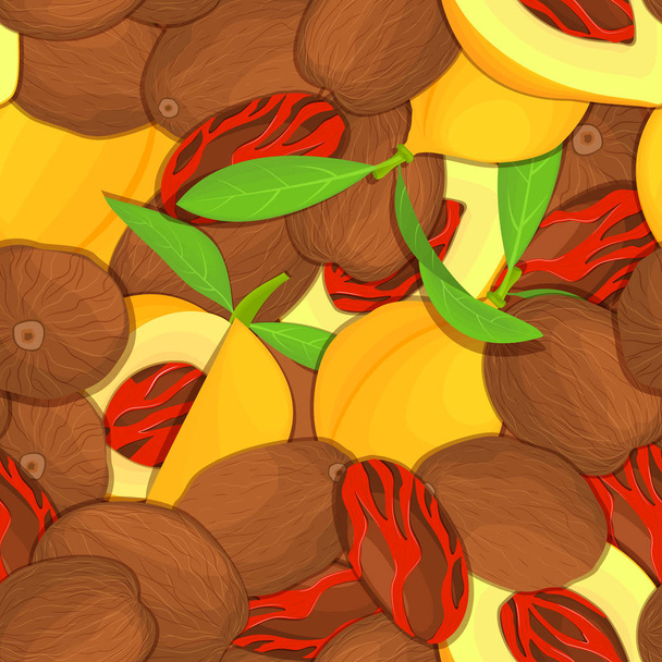 Seamelss modèle noix de muscade épices fruits. Illustration de carte vectorielle. Noix de muscade fond, fruits en coquille, entiers, décortiqués, feuilles pour la conception d'emballage d'aliments sains
 - Vecteur, image