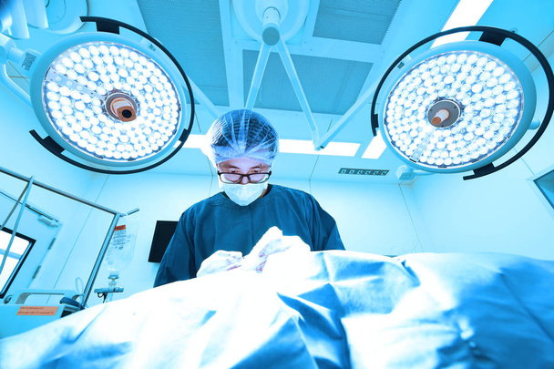 veterinarian surgeons in operating room  - Foto, immagini