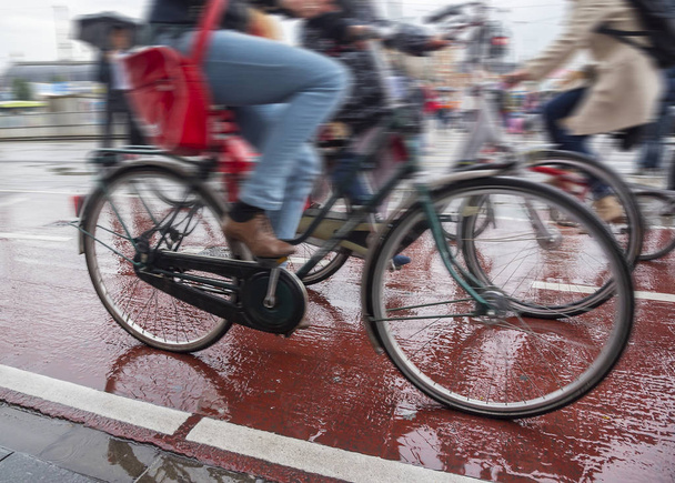 Bicycles on the streets of the city. - Zdjęcie, obraz