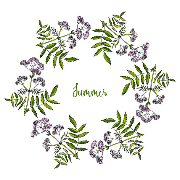 Hand drawn summer wreath - Vektori, kuva