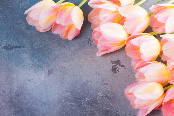 růžové a žluté tulipány - Fotografie, Obrázek