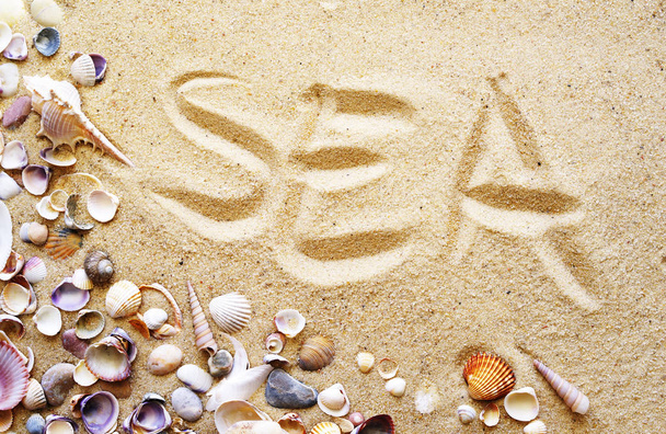 海、砂の上のテキスト。砂の上の貝殻 - 写真・画像