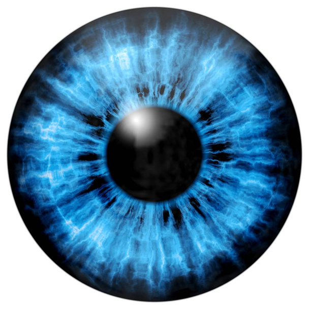 Εικονογράφηση του μπλε μάτι ίριδα, ανάκλαση του φωτός. - Φωτογραφία, εικόνα