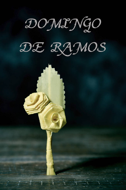 texto Domingo de Ramos, Domingo de Ramos em espanhol
 - Foto, Imagem