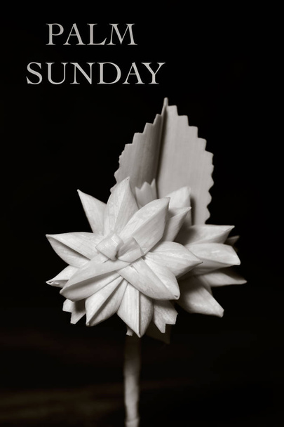 spanish braided palm and text Palm Sunday - Photo, Image