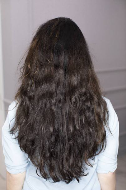 Female Long brunette hair, rear view - Foto, imagen
