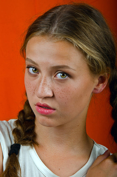 freckled girl with pigtails - Fotó, kép