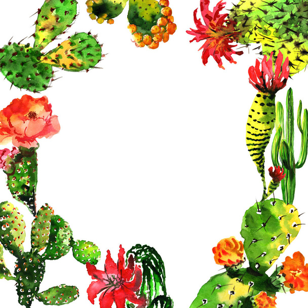 Тропічна рамка кактуса в акварельному стилі ізольована
. - Фото, зображення