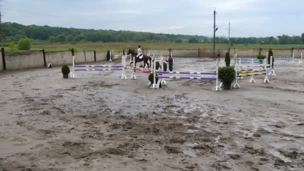 Professionele vrouwelijke jockey ritten te paard. Paard loopt op het zand en springt door een barrière. - Video