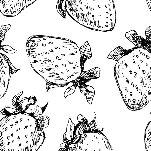 Seamless background of strawberry drawn with pen and ink. - Vector, Imagen