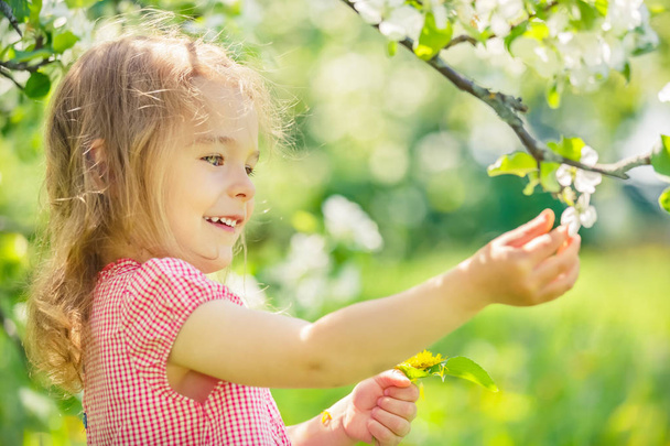Happy little girl in apple tree garden - Фото, изображение