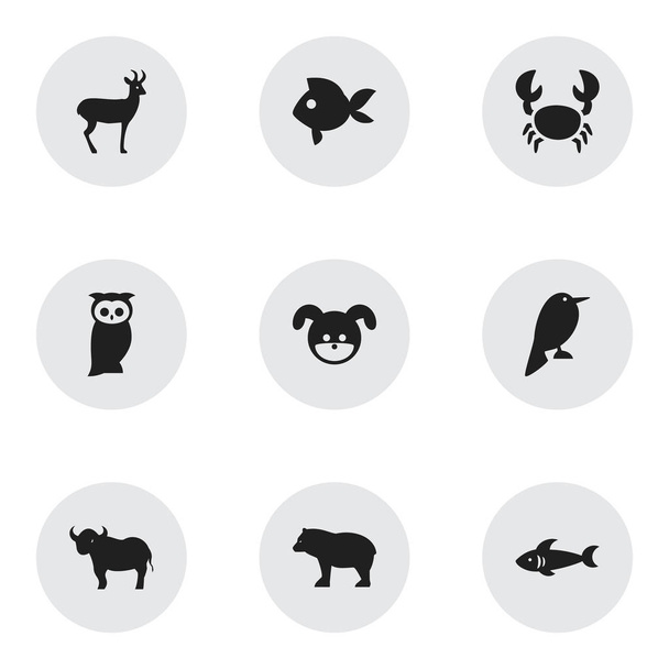 Набор из 9 редактируемых икон животных. Включает такие символы, как бык, сова, северный олень и многое другое. Can be used for Web, Mobile, UI and Infographic Design
. - Вектор,изображение