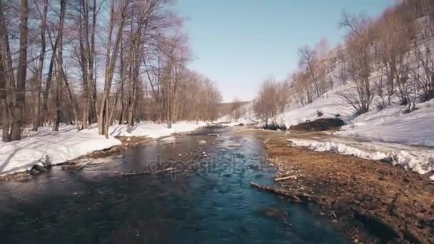Πετώντας πάνω από το ένα ρεύμα μέσα από ένα δάσος όμορφη άνοιξη στο χιόνι - Πλάνα, βίντεο