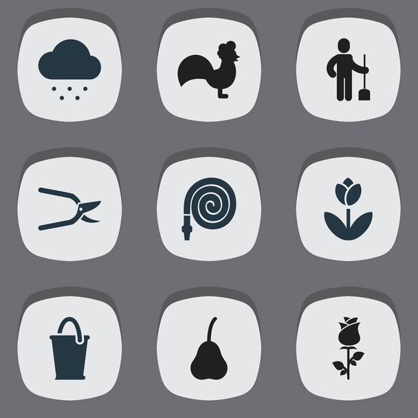 Készlet 9 szerkeszthető növény ikonok. Vízcsapra, növényi vágó, Ranunculus, és szimbólumokat tartalmaz. Lehet használni a Web, mobil, Ui és Infographic Design. - Vektor, kép