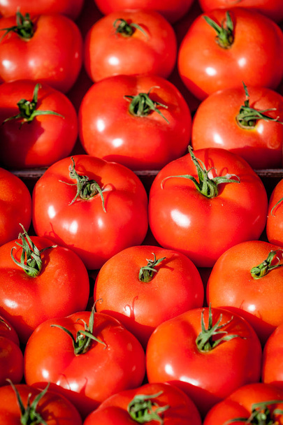 fresh tomatoes. tomatoes background. Group of tomatoes - Foto, imagen