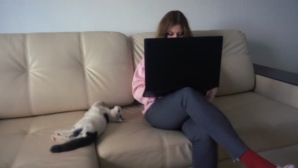 A lány dolgozik a laptop mellett a cica 4 k a kanapén ül - Felvétel, videó