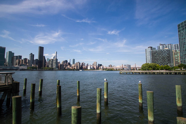 Bâton en bois dans l'eau et bâtiments avec ciel bleu, New York
 - Photo, image