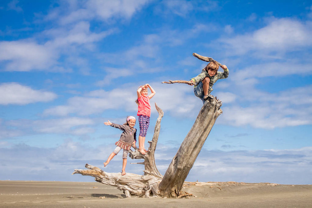 Kids standing on driftwood in valley - Photo, Image