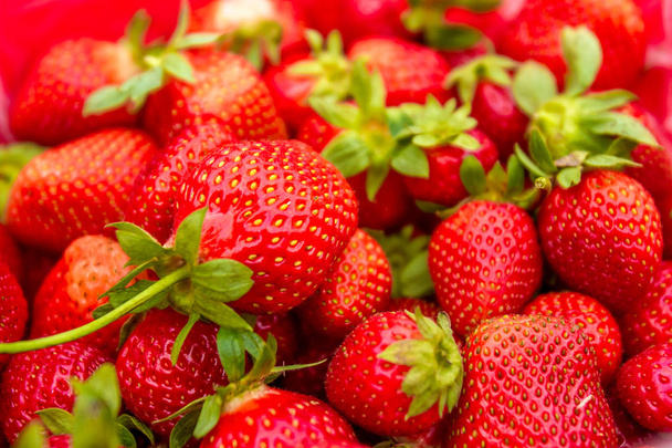 Haufen roter Erdbeeren  - Foto, Bild