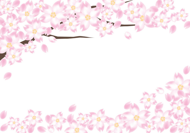 Marco de flor de cerezo
 - Vector, imagen