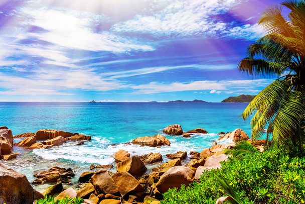 Île tropicale. Les Seychelles
 - Photo, image
