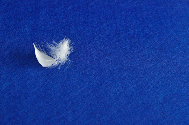 Una pluma blanca esponjosa que se muestra sobre un fondo colorido
 - Foto, Imagen