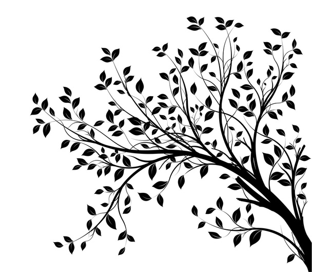 Ветвь векторного дерева, черный силуэт
 - Вектор,изображение
