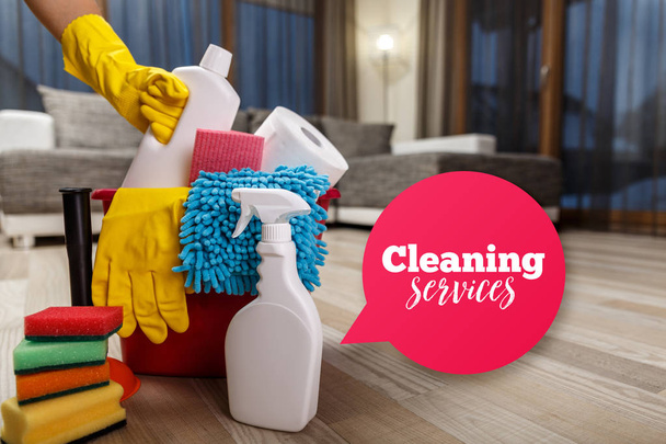 Cleaning service. Sponges, chemicals and plunger. - Foto, Imagem