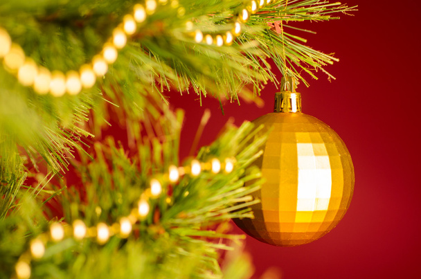 Christmas tree - Foto, Imagem