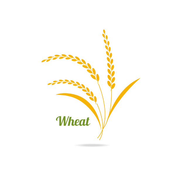 Icon of wheat. - Vector, Image