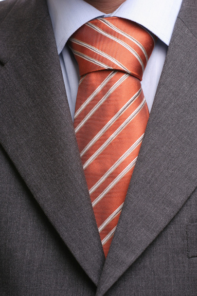 Detail of a suit and a tie - Photo, Image