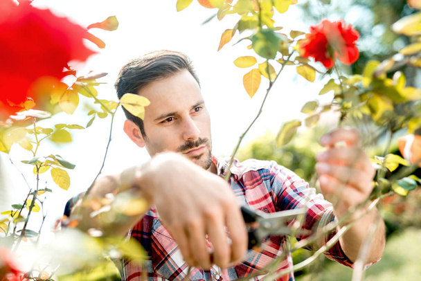 Jardinería de hombre joven
 - Foto, Imagen
