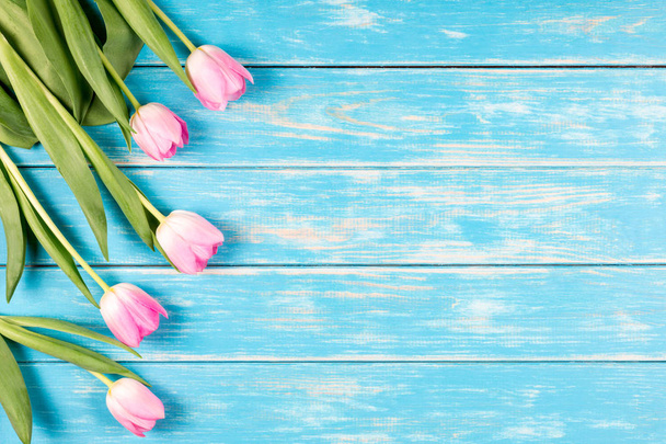 Pink tulips on a blue wooden background. - Fotoğraf, Görsel