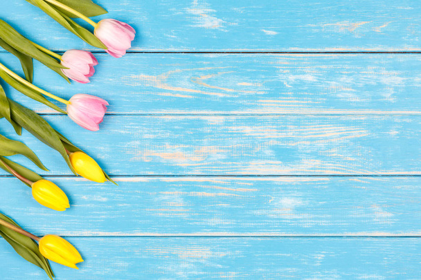 Tulipanes amarillos y rosados sobre un fondo de madera azul
. - Foto, imagen