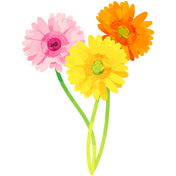 Gerbera - Geburt Blumenvektorillustration in Aquarellfarbe t - Vektor, Bild