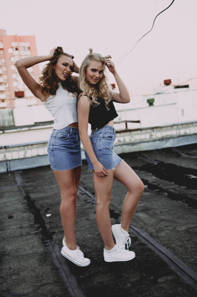 stile di vita e concetto di persone: Ritratto di moda di due ragazze alla moda migliori amici che indossano gonne jeans, all'aperto sul tetto. Buona estate per il divertimento
. - Foto, immagini