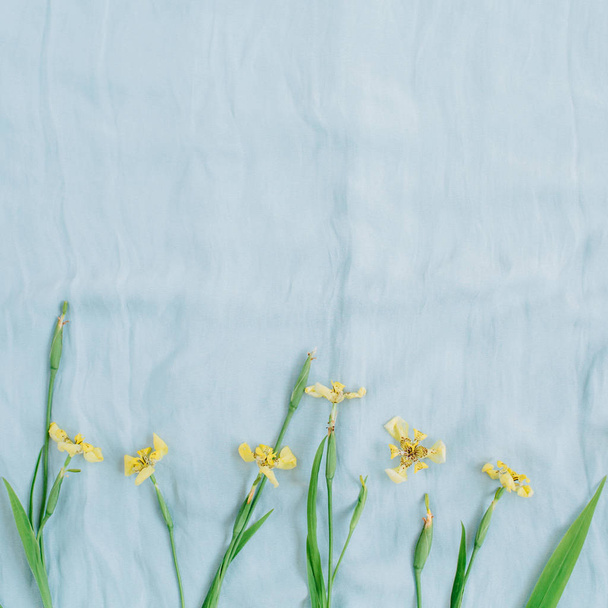 fiori gialli e foglie verdi su sfondo blu pallido
.  - Foto, immagini