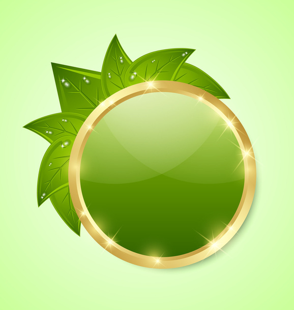 Golden and green plaque - Vector, Image