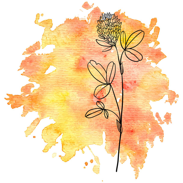 flower of clover at watercolor background - Vektor, kép
