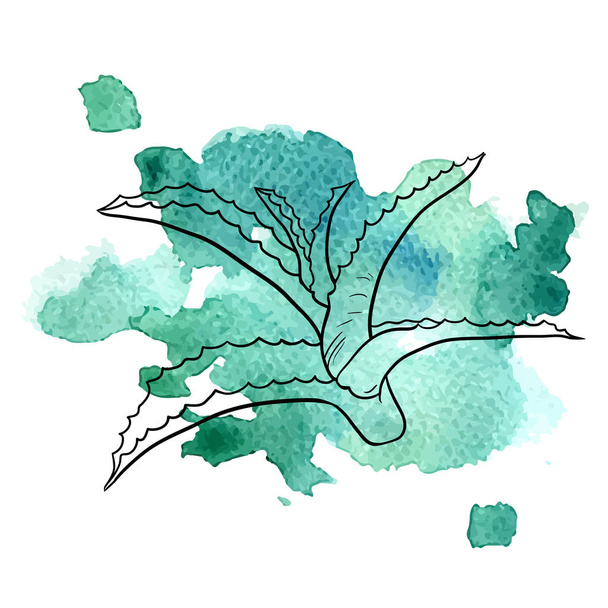 aloe at watercolor background - Vecteur, image