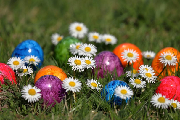 Los coloridos huevos de Pascua
 - Foto, Imagen