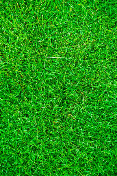 Natureza verde grama textura acima vista, fundo de grama
 - Foto, Imagem