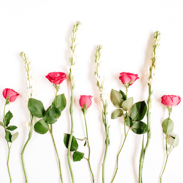 Троянди рожеві та білі квіти  - Фото, зображення