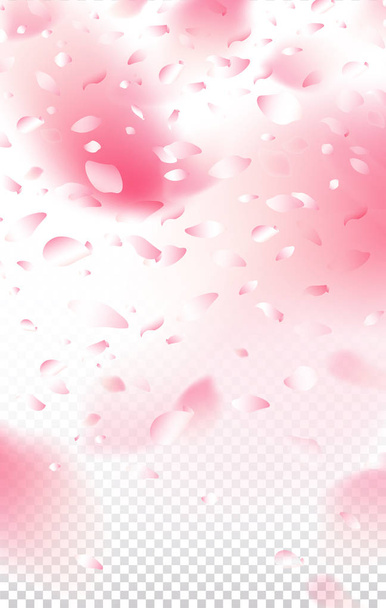 Flower petals falling   - Vector, Image