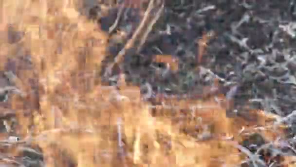 Een vuur van droog gras is in de Steppe - Video
