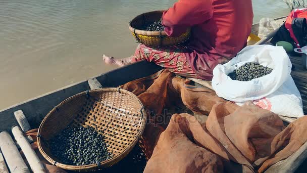 vissza véve egy nő válogatás kagylóval tartott a bambusz kosár - Felvétel, videó
