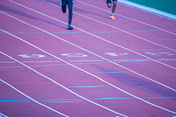 painted line on a athletic running track field - Photo, Image