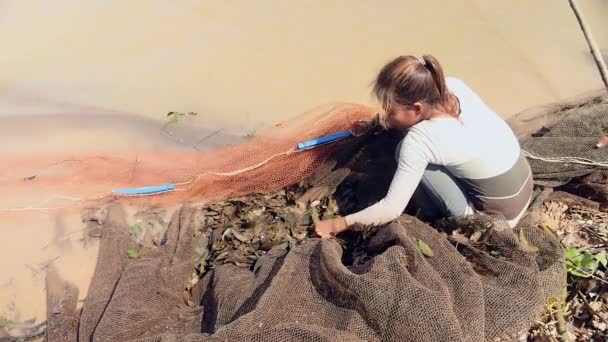 Frau sortiert Wasserpflanzen aus dem Fischfang in einem Fischernetz, das im Fluss schwimmt (Nahaufnahme) ) - Filmmaterial, Video