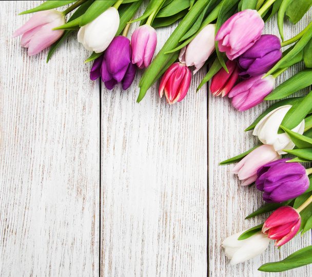 Spring tulip flowers - Foto, Imagen